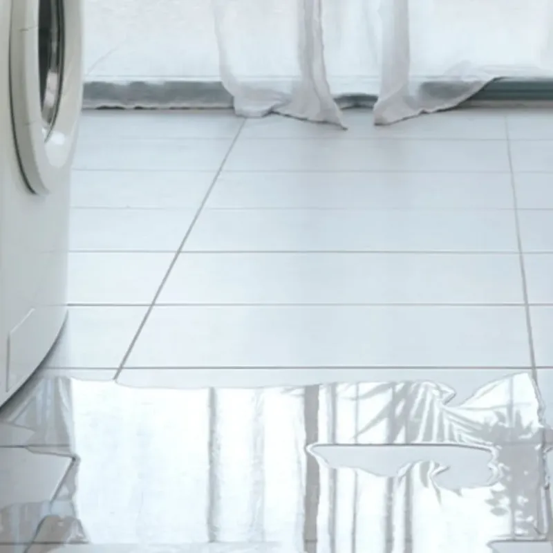 Appliance Leak Cleanup in Suamico, WI