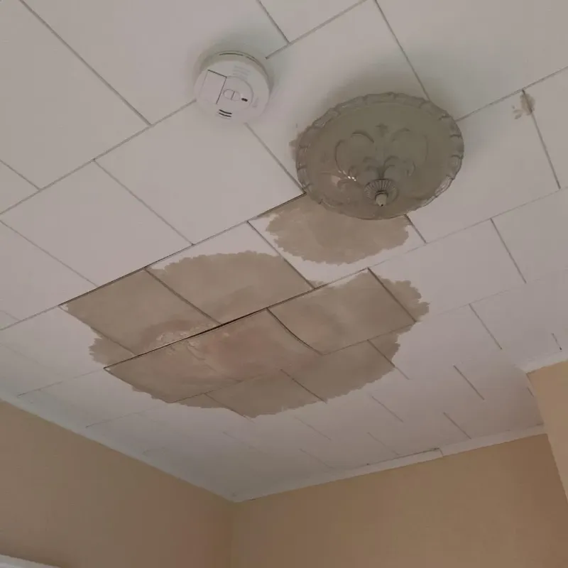 Ceiling Water Damage Repair in Suamico, WI