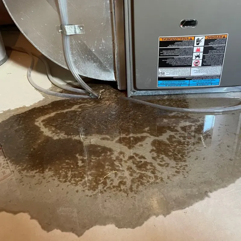Pipe Burst and Leak Restoration in Suamico, WI